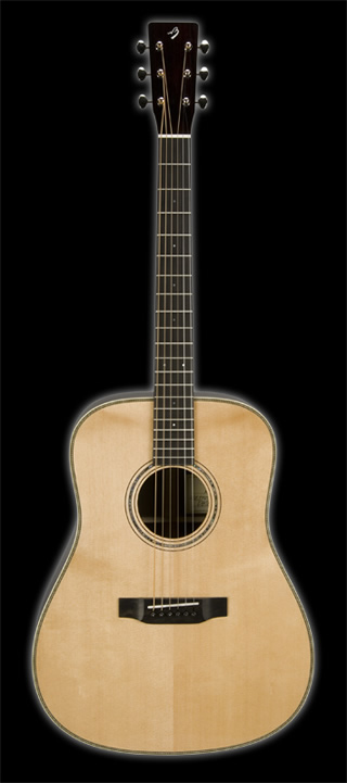 BREEDLOVE Roots Dreadnought incl.Koffer