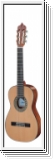 ARTESANO Estudiante C-1/2