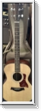 Taylor 114  mit Gigbag