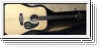 Tanglewood TD8-ST Nashville II - massive Decke, mit Koffer