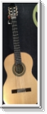 Ibanez G 300 nt Konzertgitarre