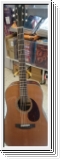 Breedlove Cascade Revival CRDCRE - Ladendemo