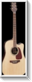 Takamine GD93CEN G-Series 90 Dreadnought mit Cutaway