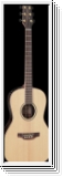 Takamine GY93EN G-Series 90 New Yorker