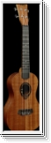 LAG LGTKU8C2 Konzertukulele Sapele laminiert ohne Palisander