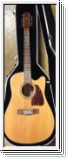 Ibanez AW-6012 CE Natur mit Koffer 12 String Western