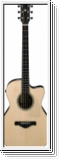 Ibanez ACFS580CE-OPS Fingerstyle Serie