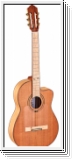Ortega RCE179sn-25th Limited 25th Anniversary Nylon String Gitar