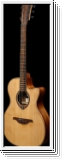 LAG LGT170ASCE Tramontane 170, Auditorium, Pickup Nylon