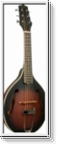 Gold Tone A-6 Gitarren-Mandoline A-Stil Korpus, mit Softbag