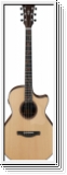 Ibanez  AE325 LGS