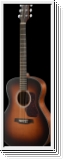 Walden G570ETB Grand Auditorium, massive Zeder, Tobacco sunburst