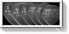 ERNIE BALL 9342 Plektren, Prodigy, Multipack, 1,50mm, schwarz, 6
