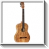 ORTEGA  RSM Reissue The Private Room - The Spalted Series Akusti