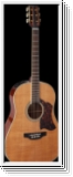 TAKAMINE CRNTS1Westerngitarre,  Slopeshoulder Dreadnought B-Ware