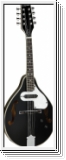 Tanglewood TWMTBKPE Union Mandolin mit Tonabnehmer