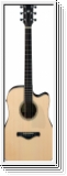 Ibanez AWFS580CE-OPS Fingerstyle Serie