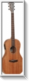 Tanglewood TW3E Winterleaf mit Koffer