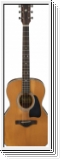 Ibanez AVC11-ANS ANTIQUE NATURAL SEMI GLOSS THERMO AGED