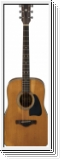 Ibanez AVD11 AVN Gitarre Artwood Vintage Thermo Aged ANS Antique