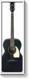 IBANEZ PF14 WK  Westerngitarre Grand Concert 6 String Weatherd B