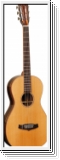 Tanglewood JPE Java Serie