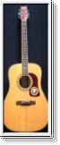 Washburn  D 97 Limited Ser: 0001