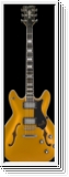 HAGSTROM Viking, HSVIK90, Gold Metallic, E-Gitarre
