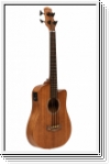 Gold Tone M-BASS AC.EL.MICRO BASS 23