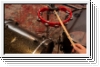 MEINL HTMT2R Percussion HeadlinerÂ® Mountable ABS Tambourine