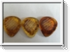 Jazz Pick aus Resin 3 Stueck ca. 3 mm