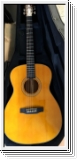 Tanglewood TW40OANE Sundance Historic  mit Gigcase