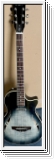 Harley Benton Custom Line N.-Steel Bundle gebraucht Topzustand