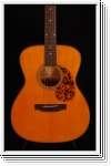 Blueridge BR-143