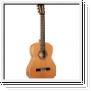 ORTEGA R20GRG Traditional Series 4/4 Nylon String Guitar 6-Strin